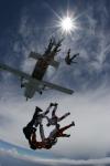 Highlight for Album: australian freefly record - picton, sydney skydivers